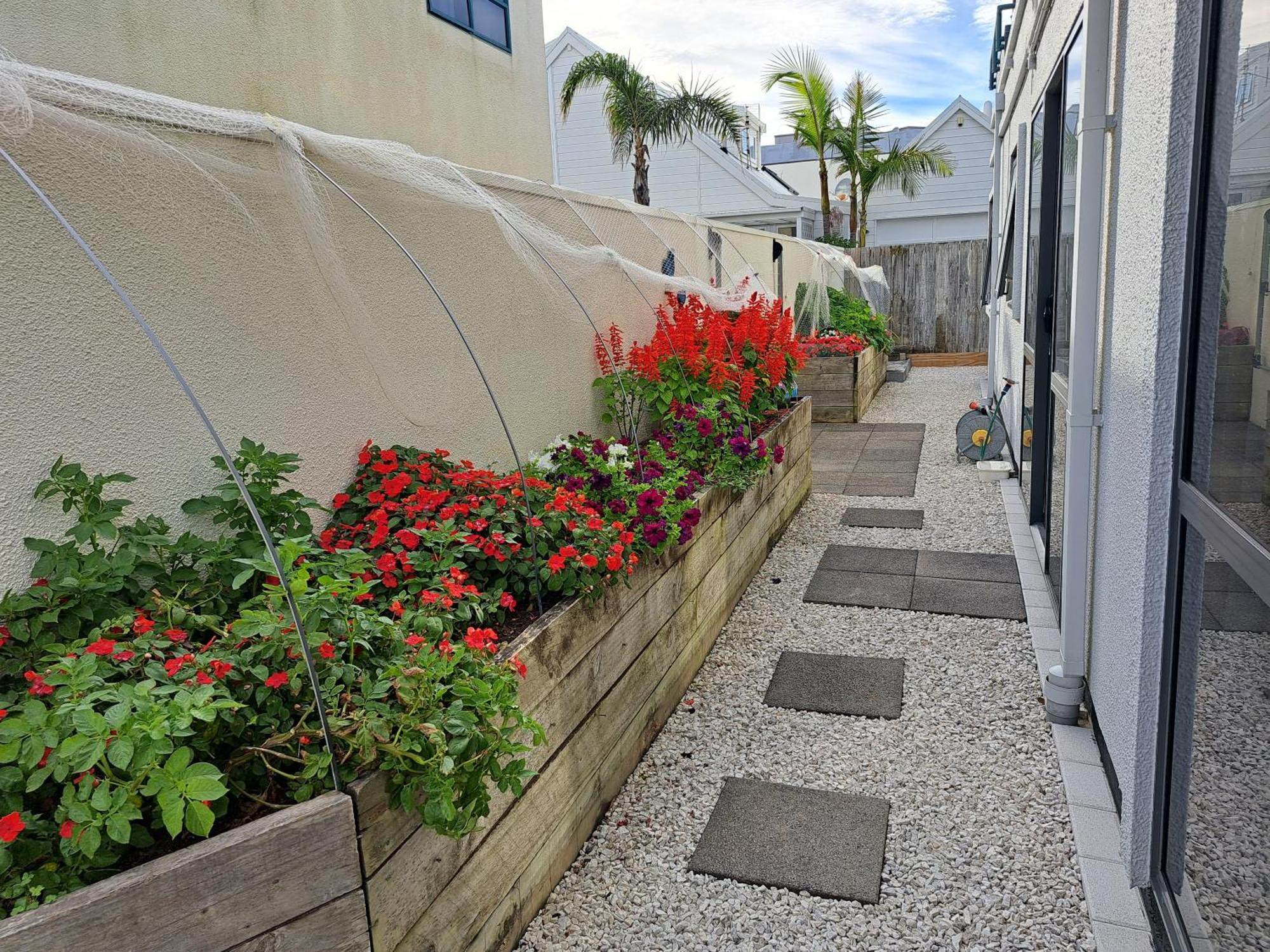 Sunbrae Beach Sanctuary Free High Fibre Wifi Apartment Mount Maunganui Exterior photo